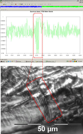 Defining marks in a fighter aircraft spectrum allow reconstruction of crack growth history